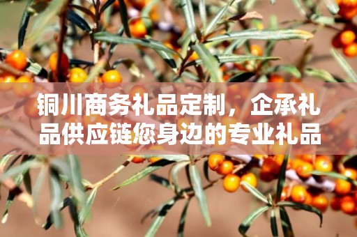 铜川商务礼品定制，企承礼品供应链您身边的专业礼品定制公司
