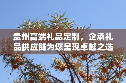 贵州高端礼品定制，企承礼品供应链为您呈现卓越之选