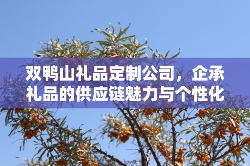 双鸭山礼品定制公司，企承礼品的供应链魅力与个性化定制服务