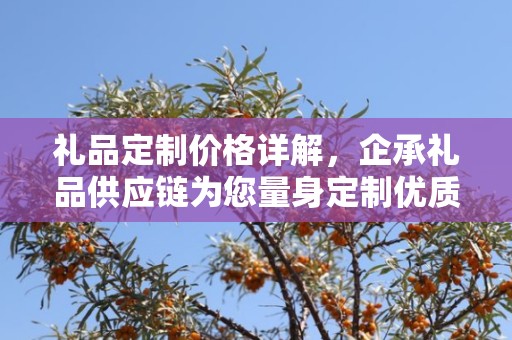 礼品定制价格详解，企承礼品供应链为您量身定制优质礼品